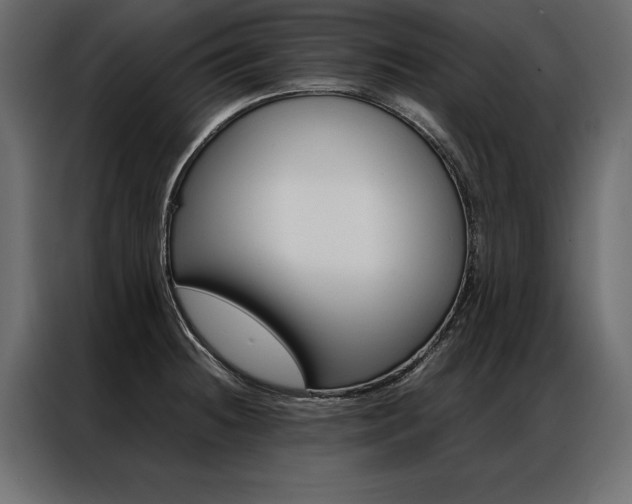 X0000086941236200704161028