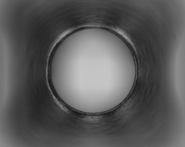 X0000086941237200704161028