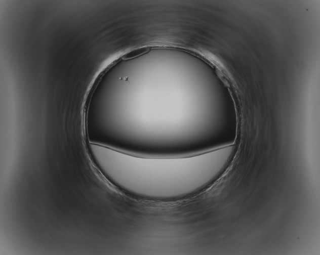 X0000086941238200704161028