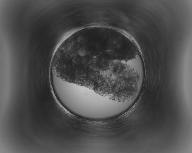 X0000086941239200704161028