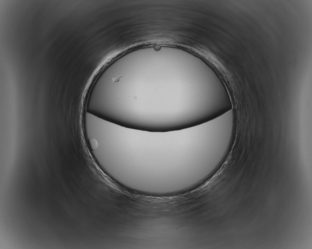 X0000086941240200704161028