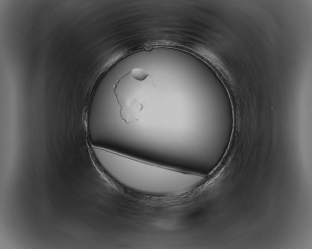 X0000086941241200704161028