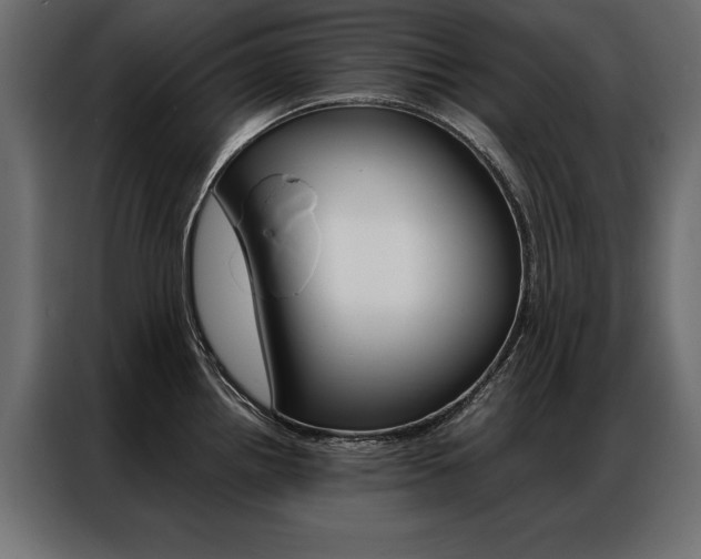 X0000086941242200704161028
