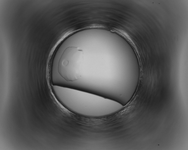 X0000086941243200704161028
