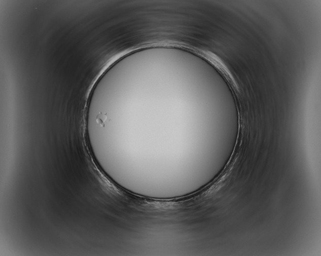 X0000086941244200704161028