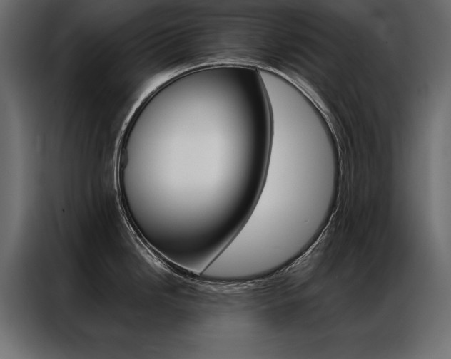 X0000086941246200704161028
