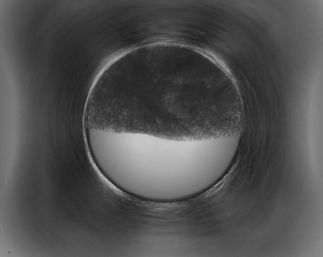X0000086941247200704161028