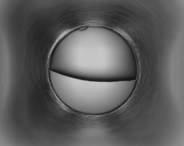 X0000086941248200704161028