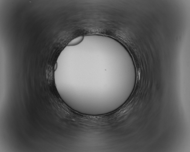 X0000086941251200704161027