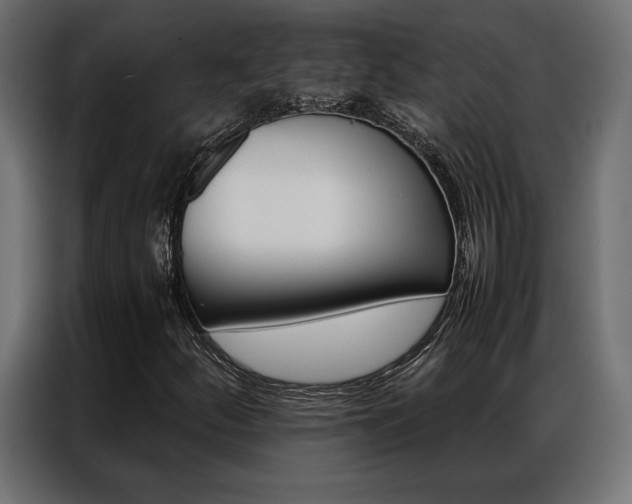 X0000086941252200704161027