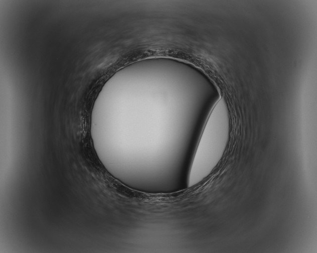 X0000086941253200704161027