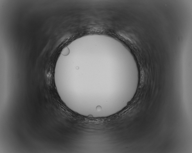 X0000086941254200704161027