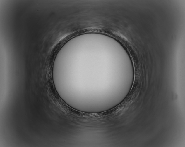 X0000086941255200704161027