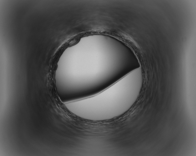 X0000086941256200704161027