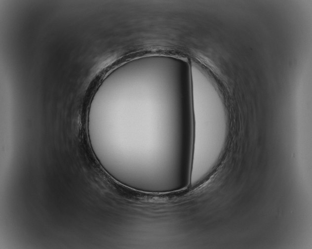 X0000086941261200704161027