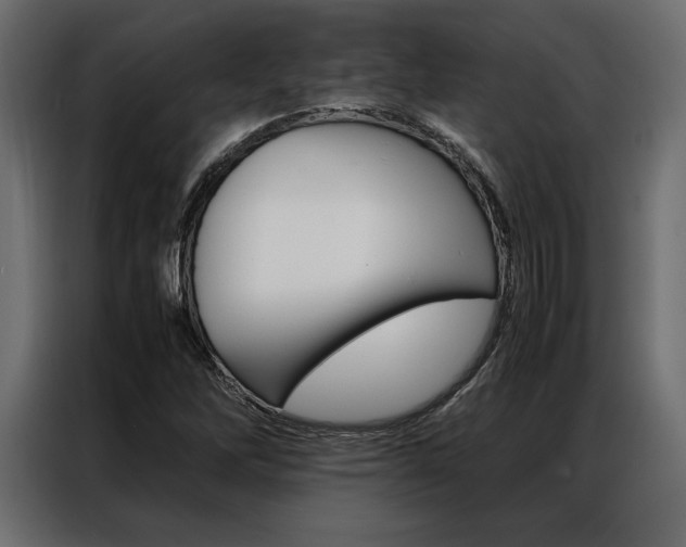 X0000086941262200704161027