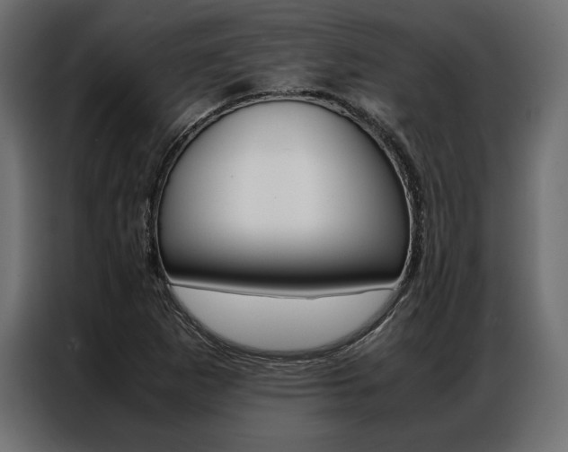 X0000086941265200704161027