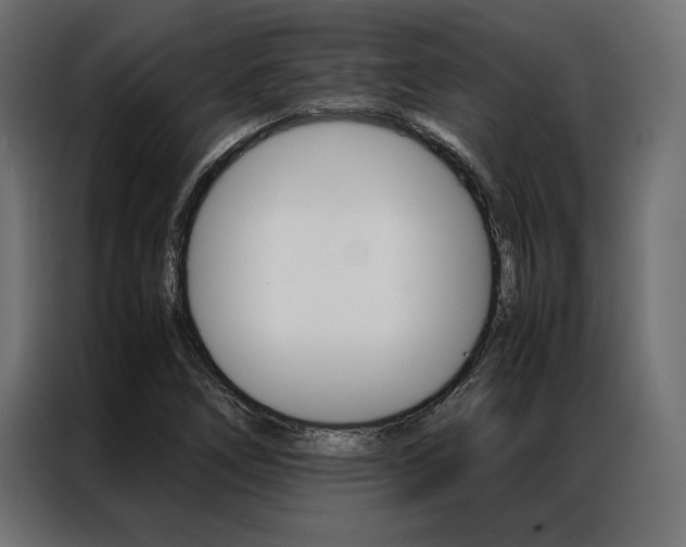 X0000086941266200704161027