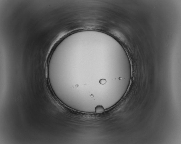 X0000086941275200704161027