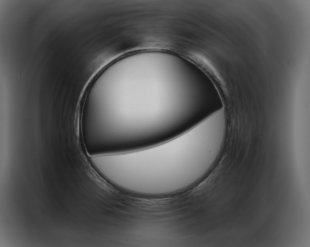 X0000086941276200704161027