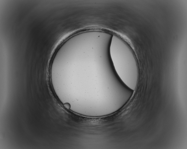 X0000086941279200704161027