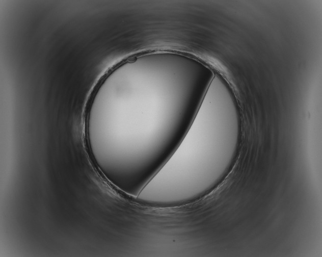 X0000086941280200704161027