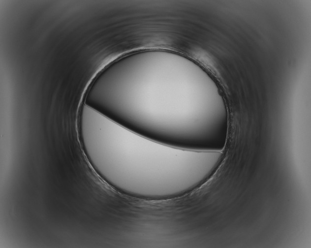 X0000086941284200704161026
