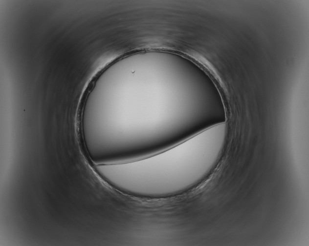 X0000086941285200704161026