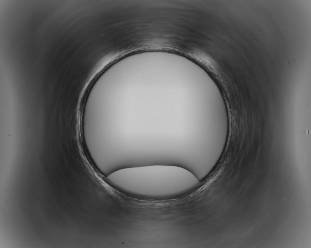 X0000086941286200704161026