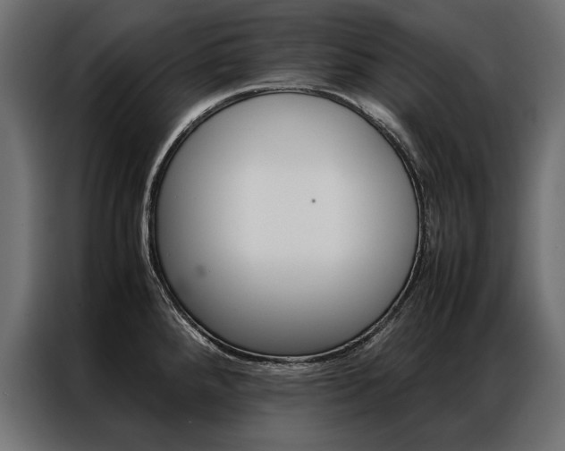 X0000086941288200704161026