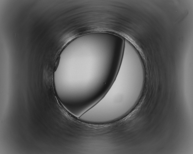 X0000086941289200704161026