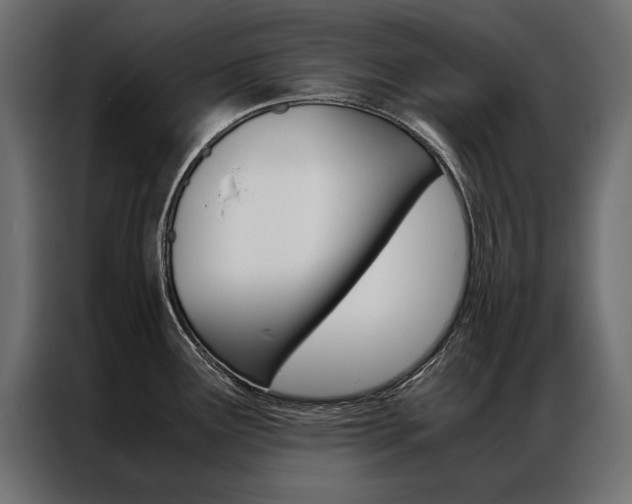 X0000086941291200704161026