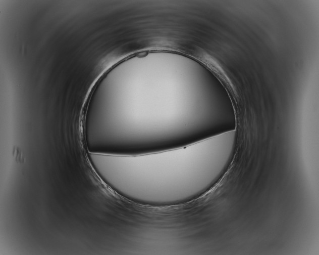 X0000086941292200704161026