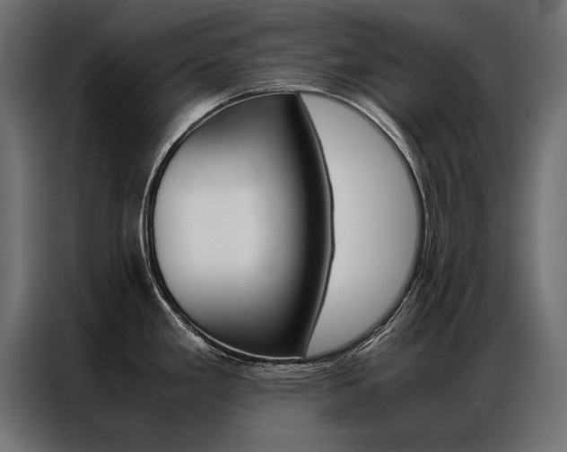 X0000086941293200704161026