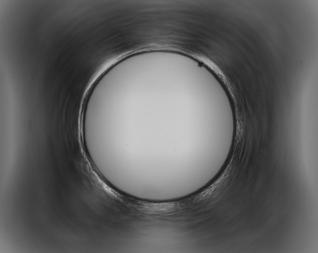 X0000086941294200704161026
