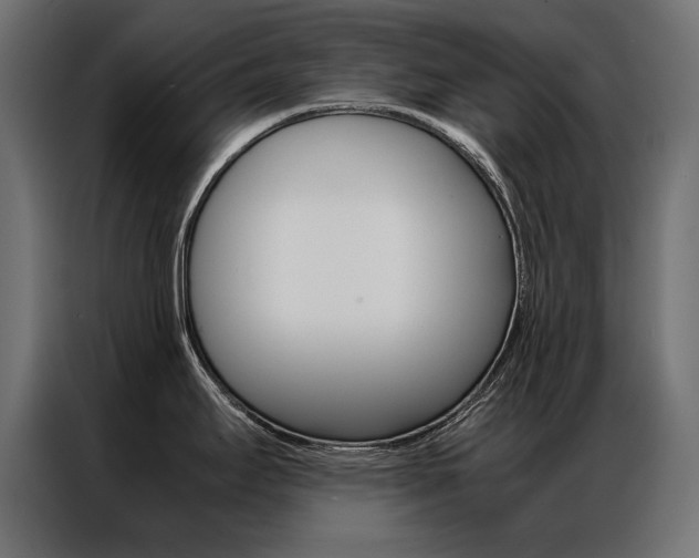X0000086941295200704161026