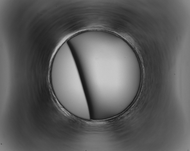 X0000086941296200704161026