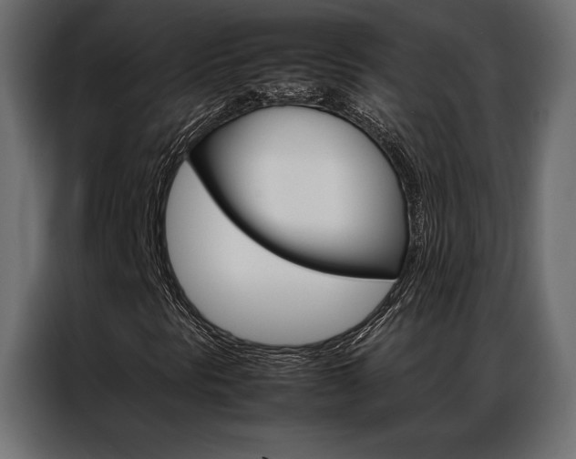 X0000086941297200704161026