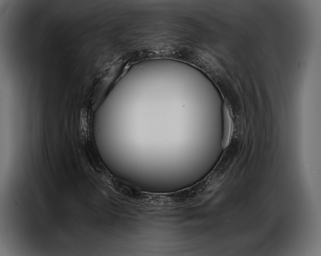 X0000086941298200704161026