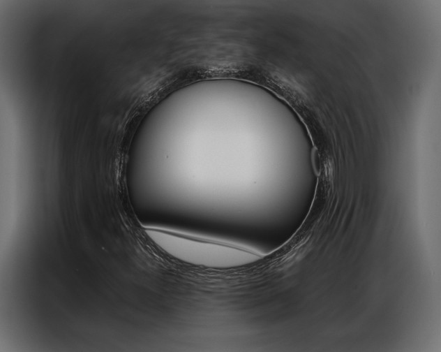 X0000086941300200704161026