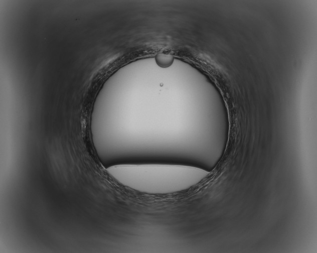 X0000086941302200704161026