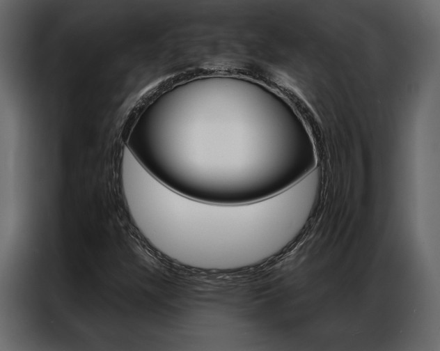X0000086941304200704161026