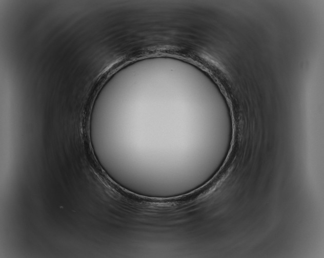 X0000086941305200704161026