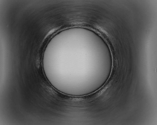 X0000086941306200704161026