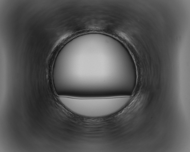 X0000086941307200704161026