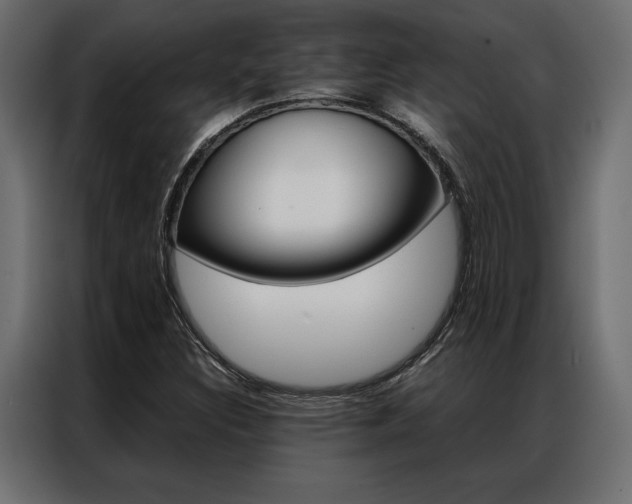 X0000086941308200704161026