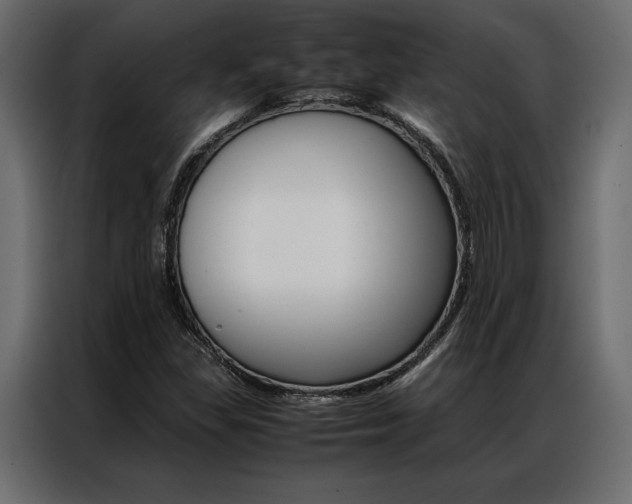 X0000086941309200704161026