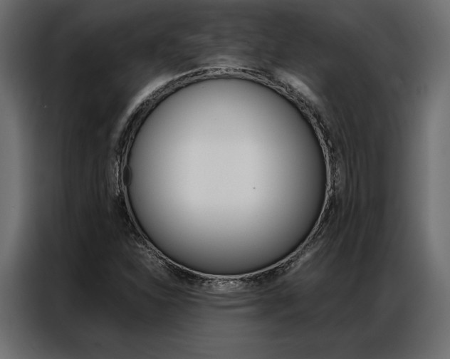 X0000086941310200704161026