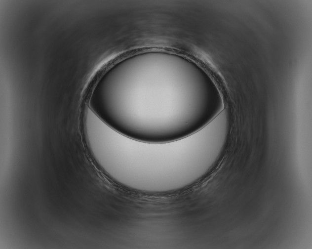 X0000086941312200704161026