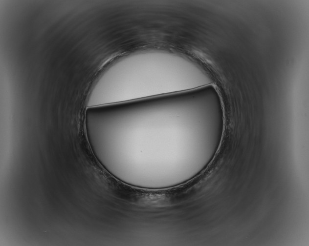 X0000086941313200704161026